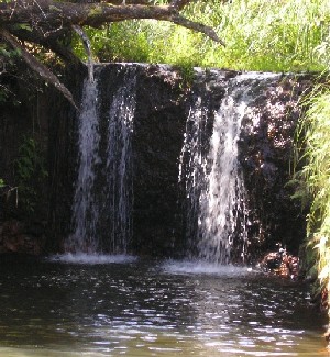 Jungle Falls