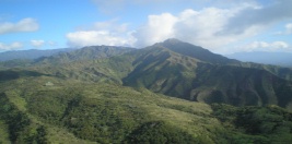 Hawaii landscape